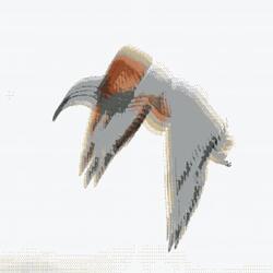 Un Attimo Per Guarire