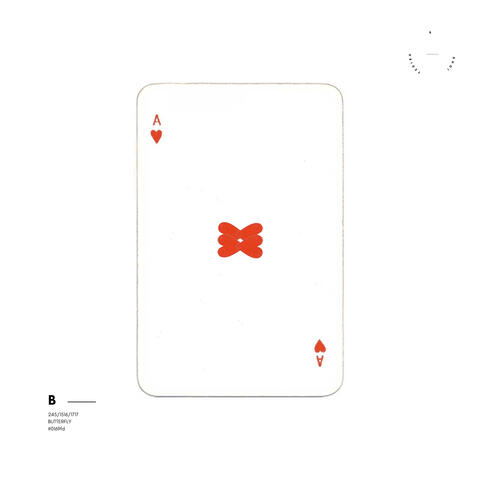 butterfly