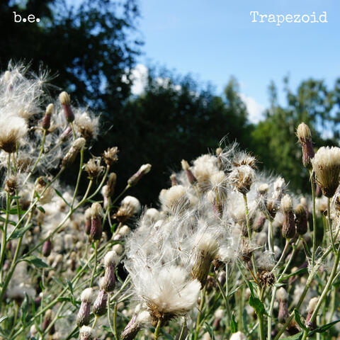 Trapezoid