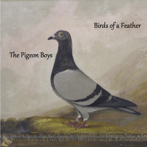 Birds of a Feather