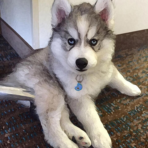 Wait! (Album Version)