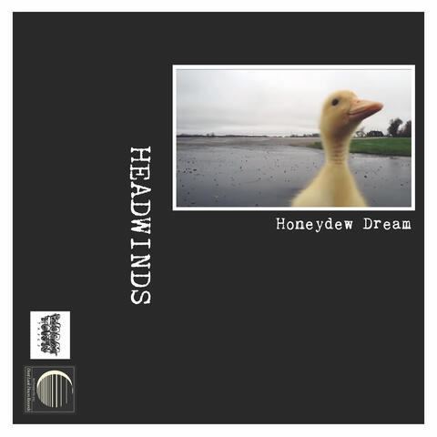 Honeydew Dream