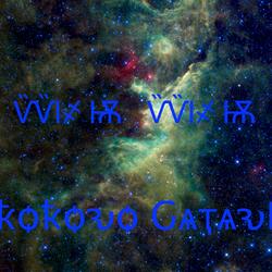 Wish Wish (Version Expo)