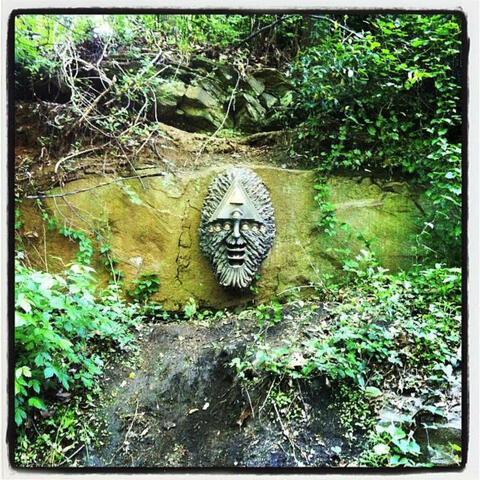 Our Trip to the Bizarre