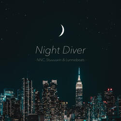 Night Diver