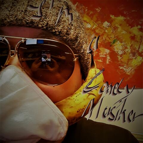 I'm a Lonely Musiker