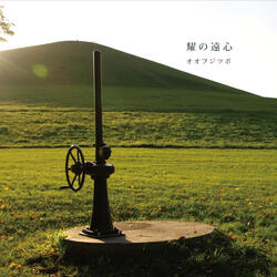 A Bird Soars into the Sky