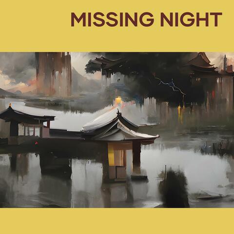 Missing Night