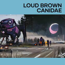 Loud Brown Canidae