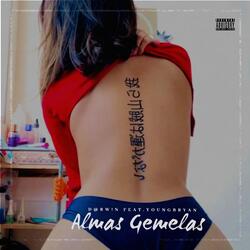 Almas Gemelas