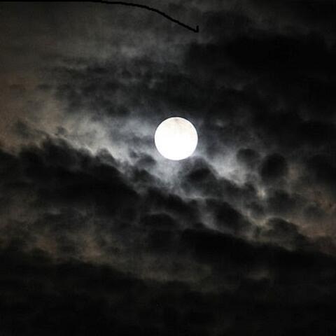 Brooding