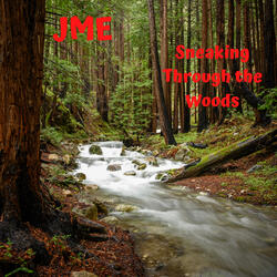 Sneaking Through the Woods