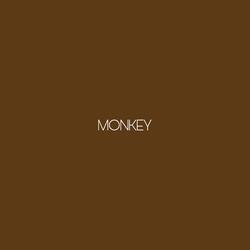 Monkey In The Middle