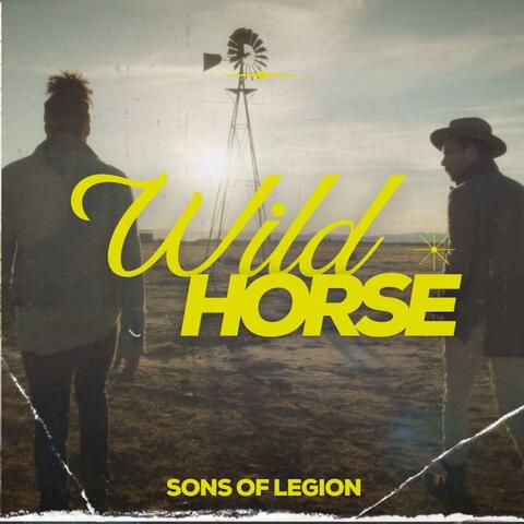 Wild Horse
