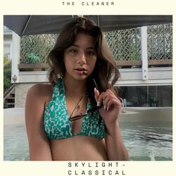 The Cleaner