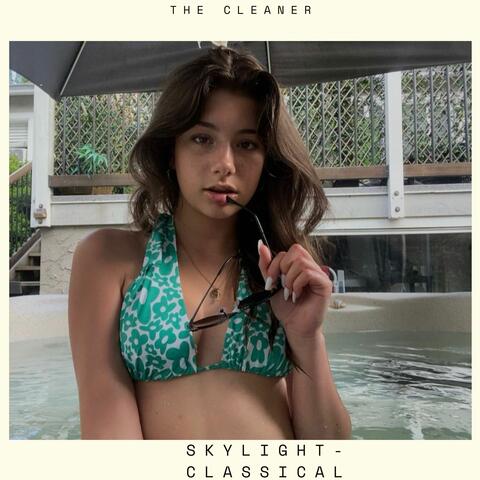 The Cleaner