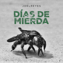 Días de Mierda