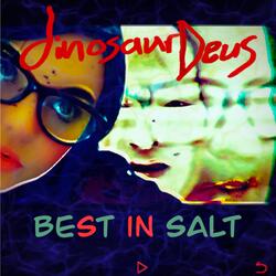Best in Salt