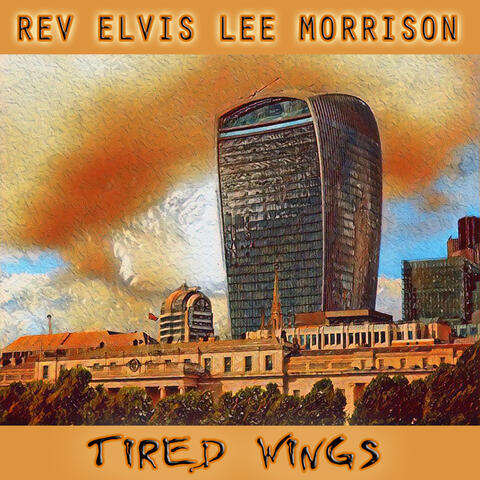 Tired Wings