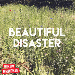 Beautiful Disaster