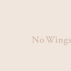No Wings
