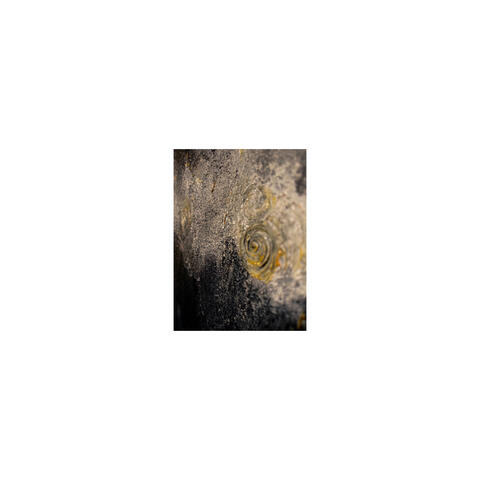 Torus