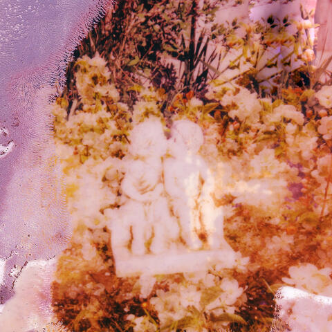 In Mellow's Daydream