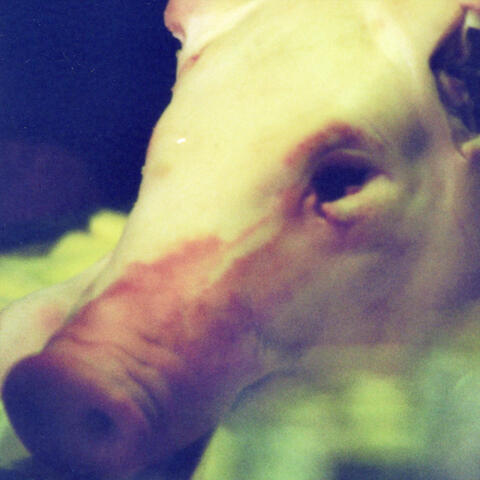 The Butcher