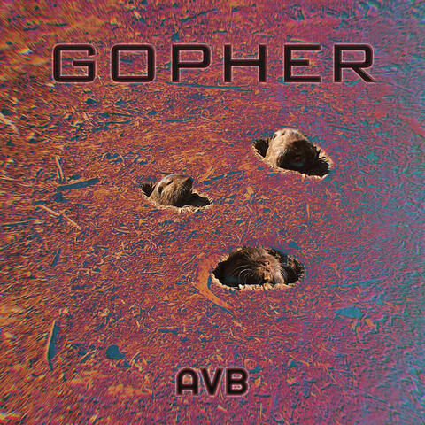 Gopher