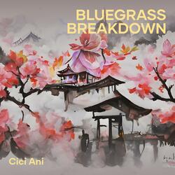 Bluegrass Breakdown