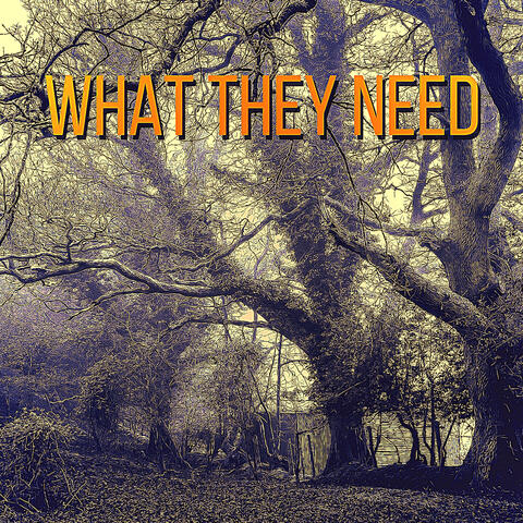 What They Need