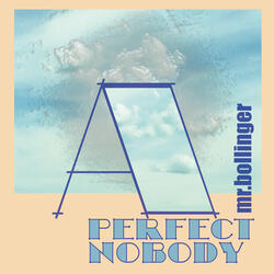 A Perfect Nobody