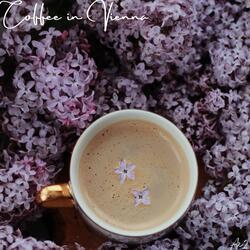 Coffee in Vienna