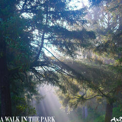 A Walk in the Park