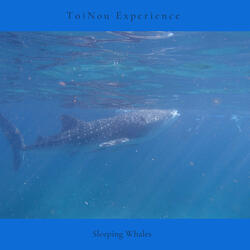 Sweet Snow Fading Away