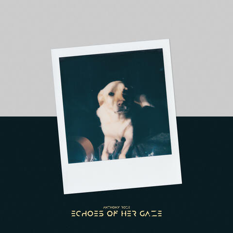 Echoes of Her Gaze