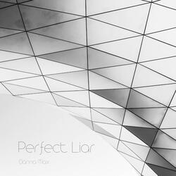 Perfect Liar