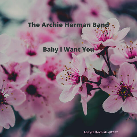 Baby I Want You