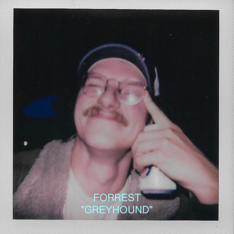 Greyhound