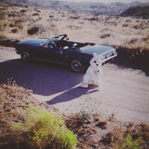 Between the Desert and Her Thighs
