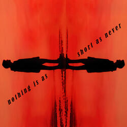 Nothing Is As Short As Never