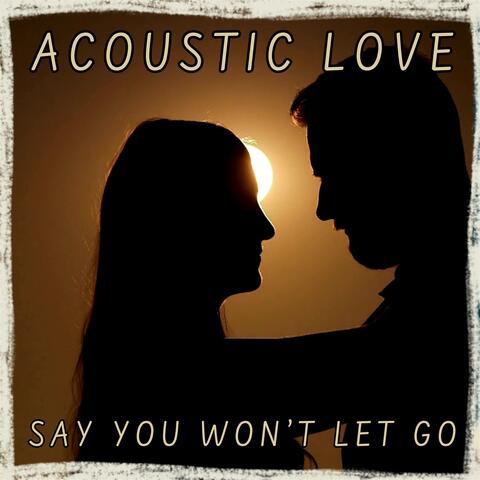 Say You Won't Let Go