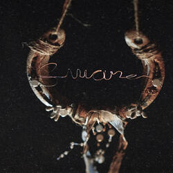 The Flower I Flung Into Her Grave