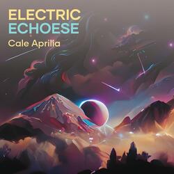 Electric Echoese