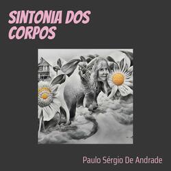 Sintonia dos Corpos
