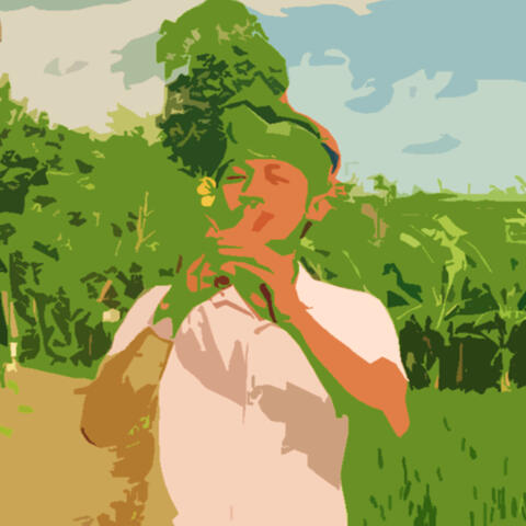 Hijau