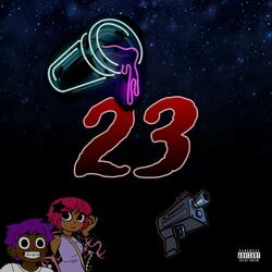 23