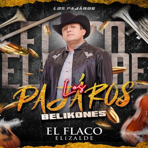 Los Pajáros