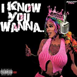 I Know You Wanna