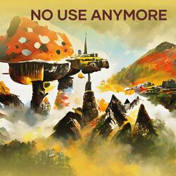 No Use Anymore